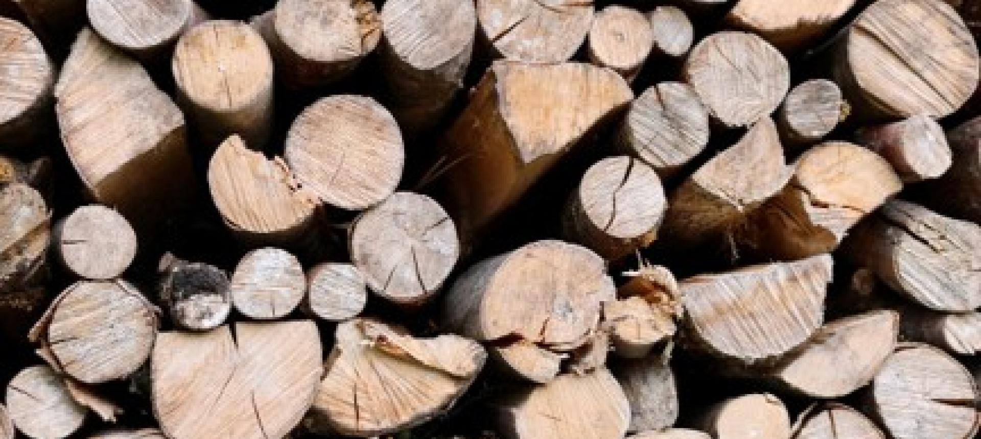 Brennholz aus Sachsen
